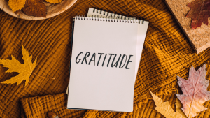 Gratitude and Growth: How Thankfulness Fuels Success in Business and Creativity